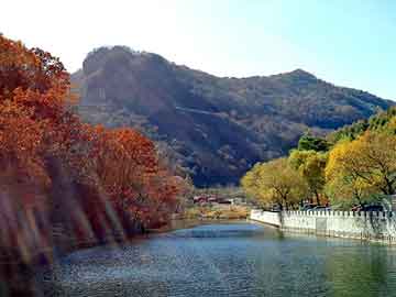 在线亚洲日韩神马影院，堵漏王生产工艺